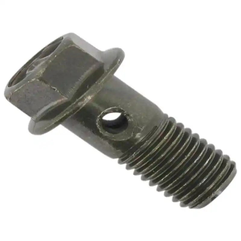 Sichere Zahlung Hohlschraube M10x1.25x22mm verzinkt Rex RS450 700844 Hohl-Schraube Bremsleitungsschraube Bremsleitungs-Schraube 50ccm-2Takt