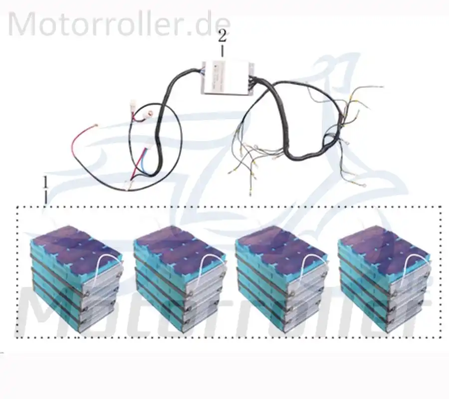 Kreidler Galactica 2.0 Electro Batteriepack 48V 40Ah 706424 Akkupack Akku-Box Batterieset Elektroroller E-Roller E-Scooter Direkt Vom Hersteller