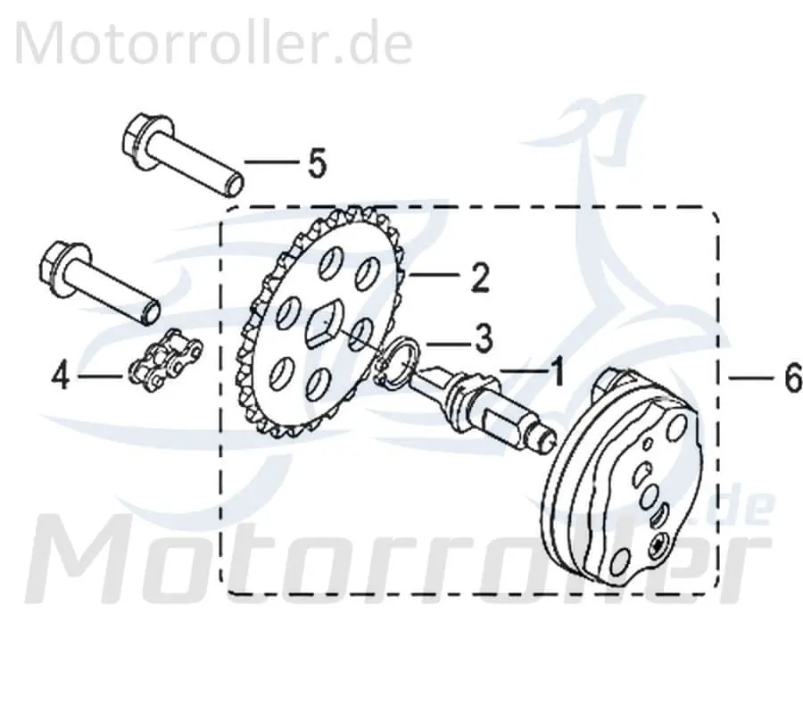 Beliebt Kreidler Insignio 125 2.0 Antriebskette Ölpumpe 750110 Kettenantrieb Ketten-Antrieb Antriebs-Kette 4 Takt 125ccm