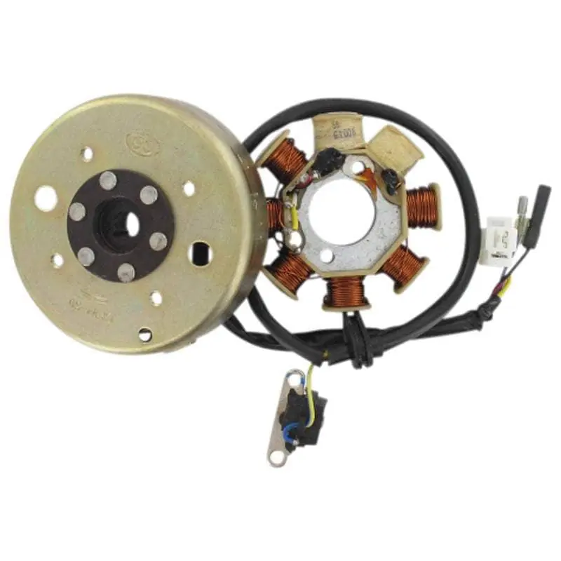 Rex RS400 Ankerplatte RS400 50ccm 4Takt Lichtmaschine Stator 139QMB JSD50QT-13 50cc 4T 139QMA Anker-Platte Stromerzeuger Preiswert