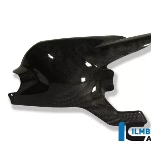 Ausverkauf Ilmberger Carbon Schwingenabdeckung passend für Ducati Monster 1100