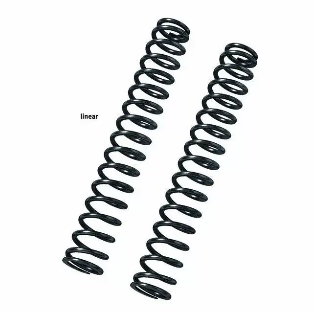 Begrenztes Angebot BITUBO Gabelfedern passend für Suzuki GSX-R750 WVBD 2000 - 2003