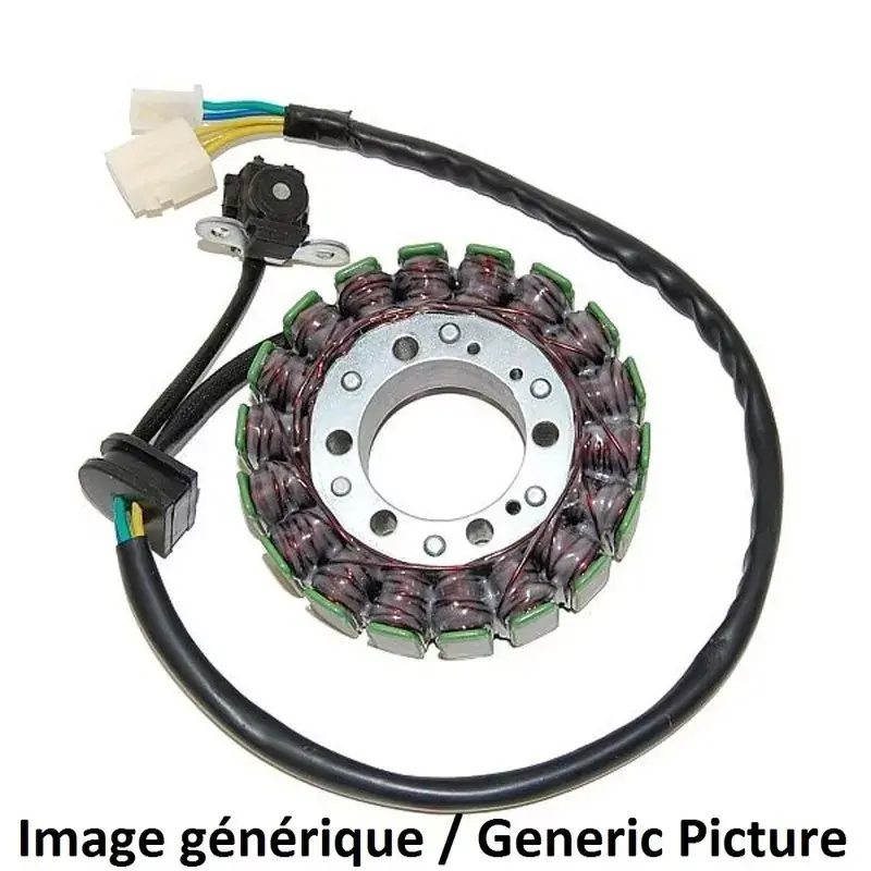Beliebt ELECTROSPORT Stator passend für Honda CBF1000