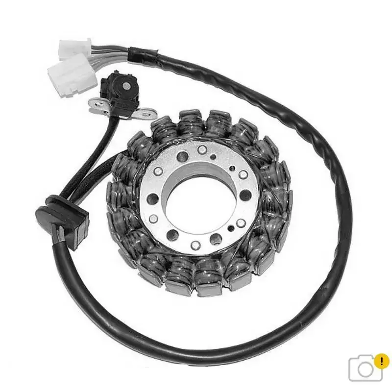 Schneller Versand ELECTROSPORT Stator passend für Suzuki 650 Gladius