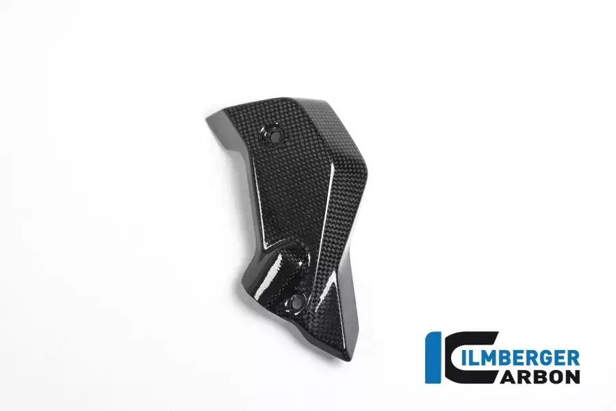 Ilmberger Carbon Wasserkühlerabdeckung rechts passend für BMW R1200R Billig