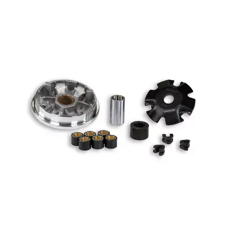 Sonderangebot Variomatik Malossi Multivar Piaggio Sfera 75