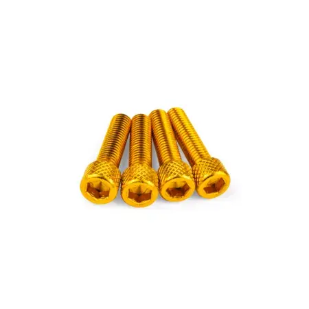 Rabatt Schraubensatz Einlass STR8 M6x25mm Alu Gold (x4)