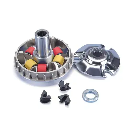 Variator Polini Yamaha Giggle / Zuma 50cc 4-Takt Top-Angebot