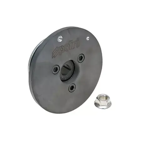 Neuheit Rotor Polini P.R.E. Piaggio 100cc