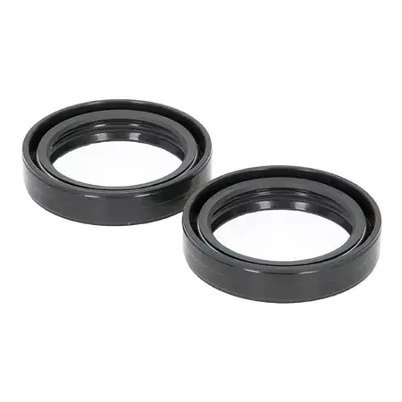 Gabel Dichtringe (x2) 41x54x11mm Aprilia / Derbi / Gilera ab 2018 Wochenendangebot