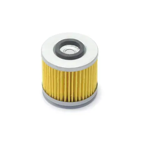 Sichere Zahlung Ölfilter Athena XTX 660