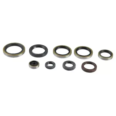 Günstig Satz Dichtringe Motor EXC 250 / TE 300