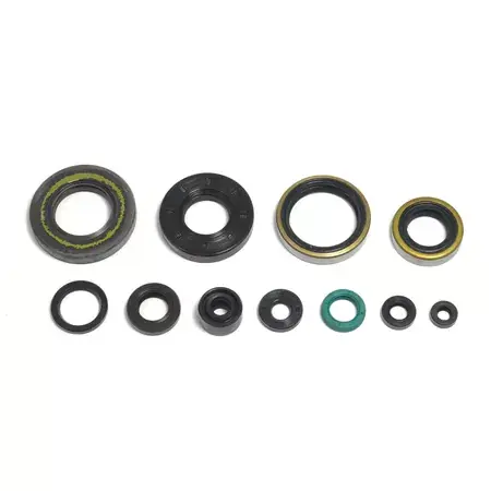 Schnäppchen Satz Dichtringe Motor Kawasaki KX 250