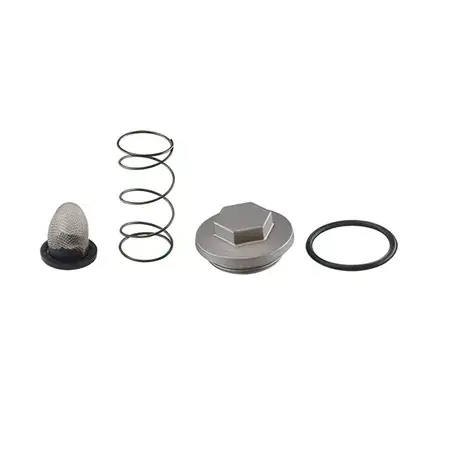 Sofort Bestellen Verschlussschraube / Ölsieb / Feder / Dichtung M36x1.50 GY6